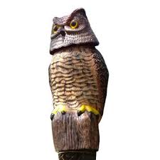 Resultado de imagem para bird scarer from china