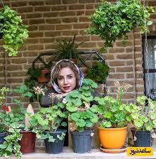 شبنم قلی خانی
