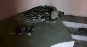 Résultat de recherche d'images pour "temple des pythons ouidah"