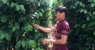 Laodong.vn - News update