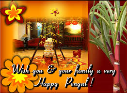 Image result for pongal festival images