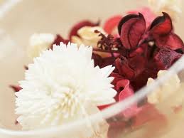 ���� ���� ������ �� ���� ������