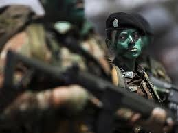 Interesse nacional e arbítrio político nas contratações militares