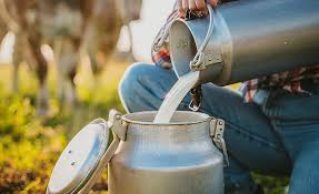 Raw Milk Under the Microscope: Separating Safety Risks From Nutritional Claims