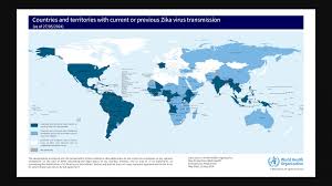 Surge in Zika Cases: Over 24,000 Confirmed in 2024 - 1