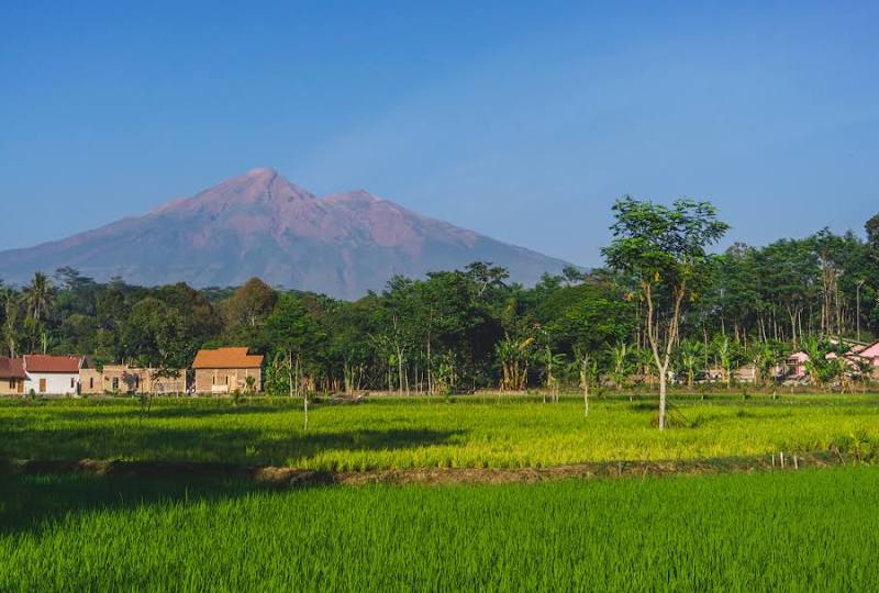 Salatiga