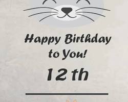 various cat birthday giftsの画像