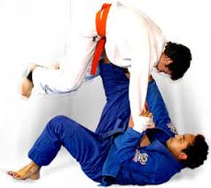 Resultado de Imagem Pará golpe proibido no jiu jitsu