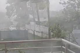 ببینید | طوفان در جنوب فرانسه برق هزاران خانوار را قطع کرد