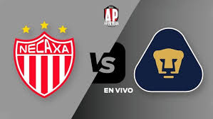 Necaxa vs Pumas EN VIVO Liga MX Jornada 7 Apertura 2024