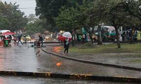 Diario Occidente - News update