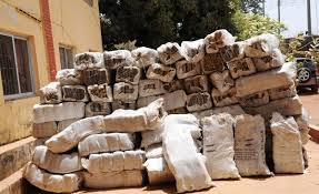 Image result for anambra state ndlea