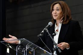 Kamala Harris Reflects on 2024 Campaign and MSNBC Interview