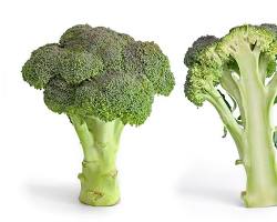 Image of Broccoli vegetable