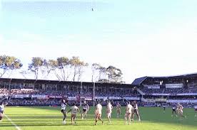 Eagle or falcon? How Jason Saab hatched a plan for a rugby league ‘headed’ try