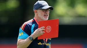 Quem é Luis de la Fuente, técnico da Espanha na Copa do Mundo?