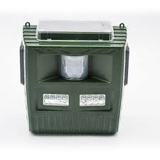 Resultado de imagem para bird scarer from china