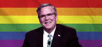 Image result for jeb bush