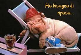 images?q=tbn:ANd9GcRpHnBrWl9WQong6W8ItIgEKcAotHgGUCipcosNCGaTgL98BW7S