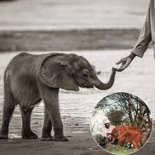 With profound sadness, we must share the news that Doldol ...