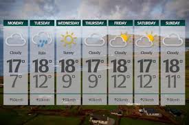 status yellow wind rain warnings — trending on Google in Ireland