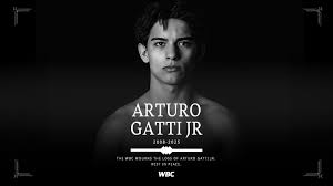 World Boxing Council - News update