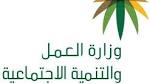 "العمل" تحسم الجدل حول عمل