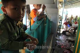 20131016_potong-hewan-kurban-peringati-hari-raya-idul-adha-. Pemotongan Hewan Kurban: Sejumlah warga menyaksikan prosesi pemotongan hewan kurban di Masjid ... - 20131016_potong-hewan-kurban-peringati-hari-raya-idul-adha-1434-h_3650