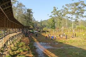 Hasil gambar untuk foto wisata bandung selatan ciwidey