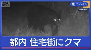 News source: Yahoo!ニュース