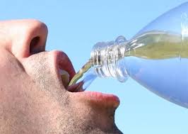 Resultado de imagem para bebendo agua