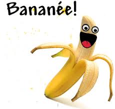 Résultat de recherche d'images pour "bonne année 2016 humour"