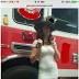 Atlantafirefighters suspended in escort photo scandal