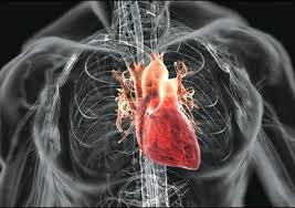 Imagini pentru Vitamine si minerale care, in exces, iti afecteaza inima