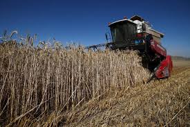 União Europeia avalia quebra de safra de grãos devido ao calor - 29/07/2026 - Vaivém