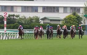 2週連続GI万馬券的中の競馬AIが函館SS、東京ジャンプSを大予想 厳選ワイド3点＆3連複10点で勝負！
