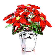 Image result for Poinsettia animated