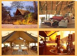 Image result for ruaha park