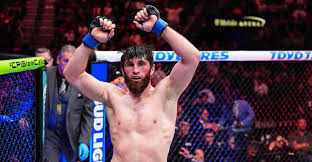 UFC Abu Dhabi predictions