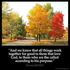 ROMANS 8:28 KJV &quot;And we know that all things work together for ... via Relatably.com