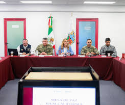 Es mentira el acuerdo con gobierno de EU, dice Marina del Pilar