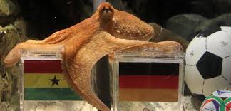 Image result for german octopus predicts football final