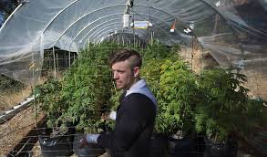 Resultado de imagen de Legalization