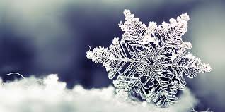 Image result for snowflakes