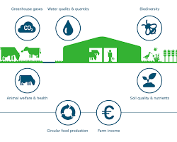 Image of Sustainable dairy farming practices