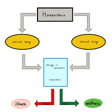 https://encrypted-tbn2.gstatic.com/images?q=tbn:ANd9GcRqUOQ9QAS75ThJU6L7F4AHEuVdWqgjBPqQZR53cVbbxh7P4vde