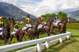 I pronostici di Merano galoppo | Ippodromo Maia | Premio Lunedì di Pentecoste | Corse di domenica 3 maggio