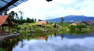 Image result for danau leuwi soro
