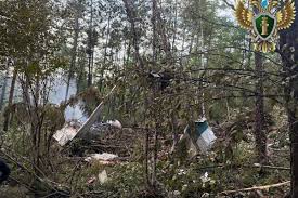 Wyborcza.pl - News update