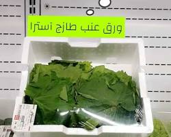 صورة ورق عنب طازج